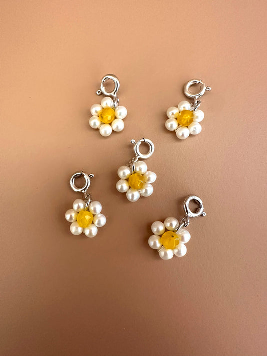 BLOOM POP - MARGHERITA